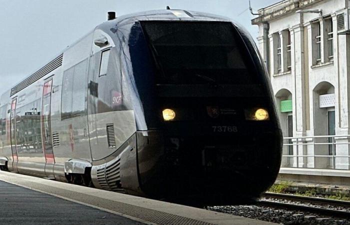 Trenes retrasados ​​en Dordoña por hojas muertas