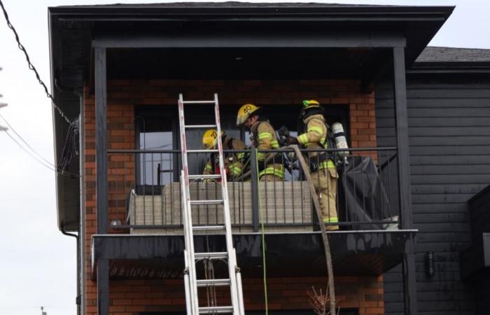 Colillas de cigarro involucradas en un incendio ocurrido este domingo