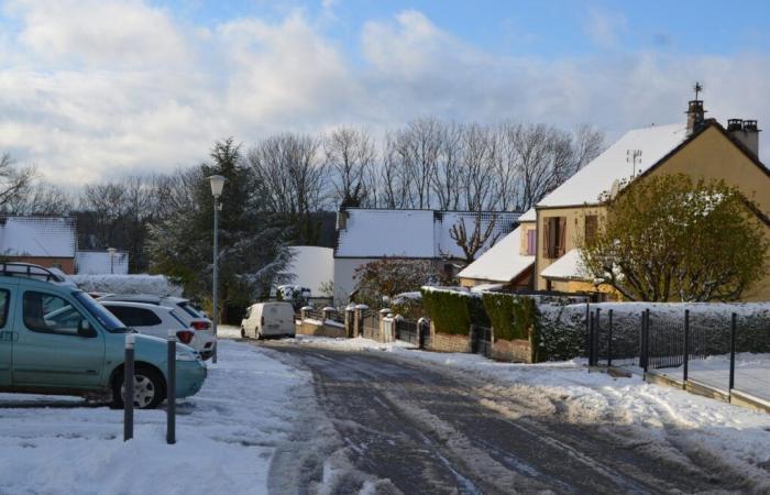 Langres da alas al mosquito tigre