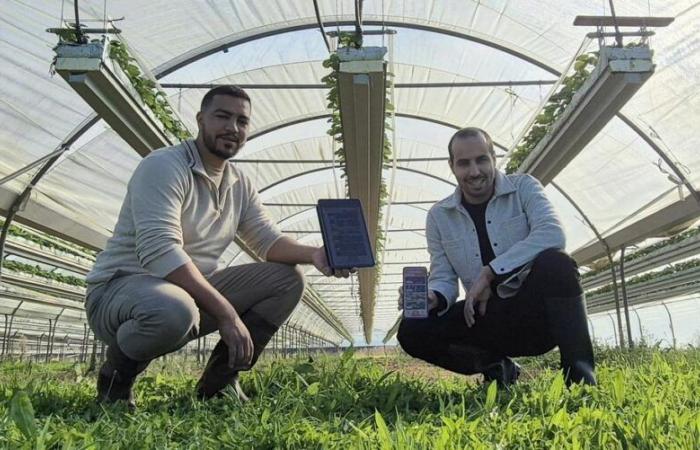 Karreau, el mercado digital para los agricultores