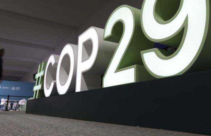 La falta de avances en la COP29, un peligro para los derechos humanos