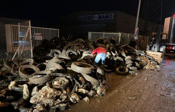 Varias toneladas de residuos arrojadas delante de Promocash en Lons: para el gerente, los agricultores están en el objetivo equivocado