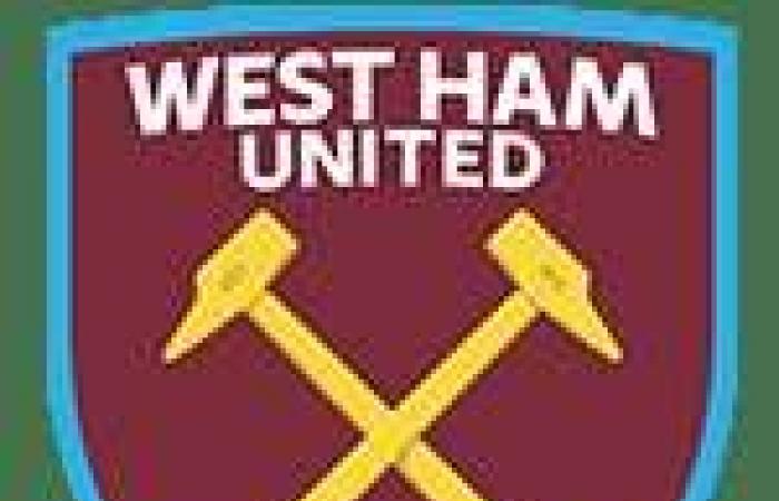 Derrotado en casa por el West Ham, el Newcastle pierde peso – Premier League – J12 – Newcastle-West Ham (0-2)