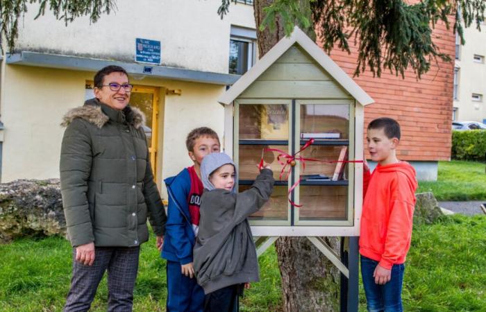 En Mortagne-au-Perche, el barrio de Les Roches acoge su primera caja de libros