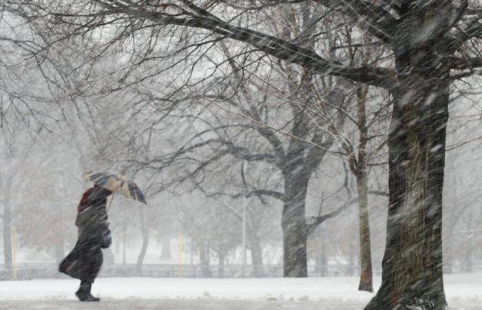 Perspectiva de tormenta de nieve para el Día de Acción de Gracias – NBC Boston