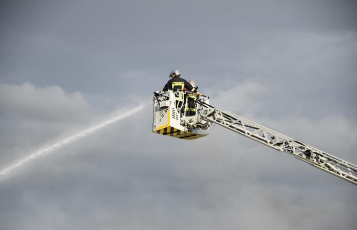 Anse: un gran incendio en curso en la avenida de Lossburg