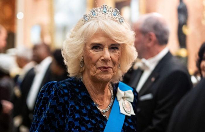 Camilla Parker Bowles: este hobby del que hablará mucha gente la hace muy competitiva