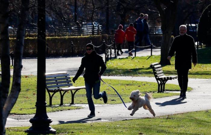 El lunes trae sol, la lluvia llega el martes