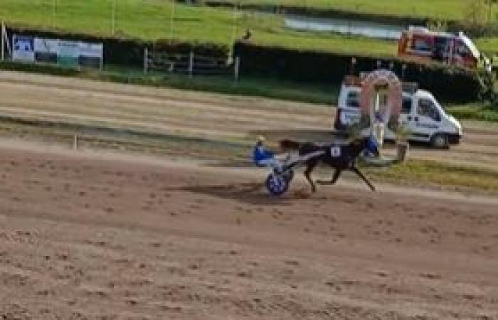 Mauricien, copropiedad de Björn Goop, debuta victorioso en Granada