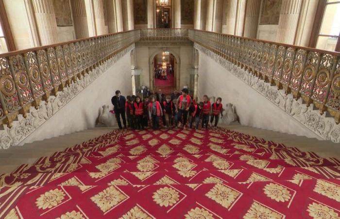 VIDEO – Cuando la política fascina: el día que los estudiantes se sentaron en el Parlamento