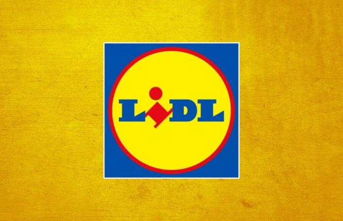 ¿Cómo puede Lidl ofrecer un precio tan disparatado por esta batería externa?