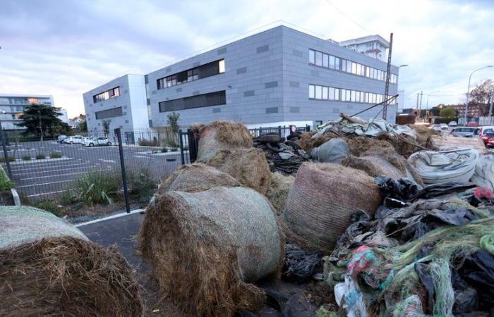 Ira de los agricultores: ¿qué nos espera este martes en Tarn-et-Garonne?