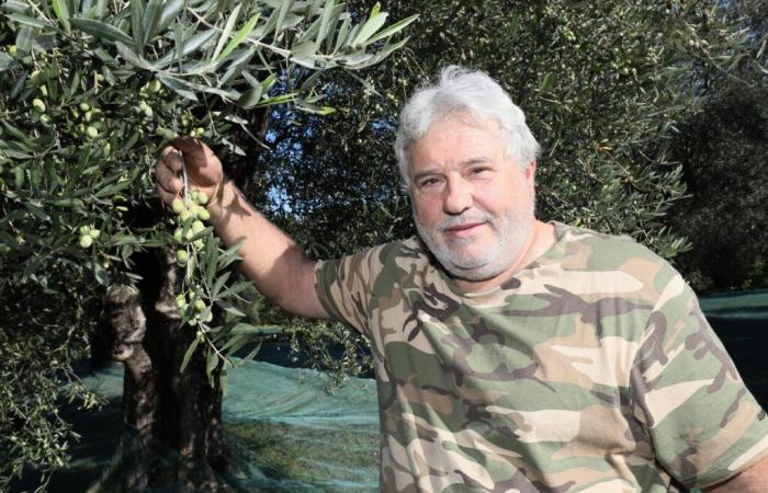 “El descontento es general, no estamos lejos de salir a la calle para decirlo”: la ira de los agricultores aumenta en los Alpes Marítimos