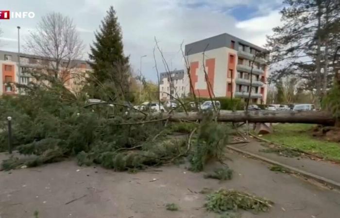 Tormenta Bert: árboles caídos, tejados volados… imágenes de los daños cerca de Lyon