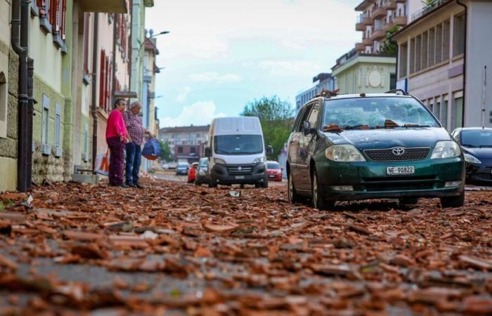 Vientos violentos: el Loira y el Alto Loira están en alerta naranja con ráfagas superiores a 110 km/h