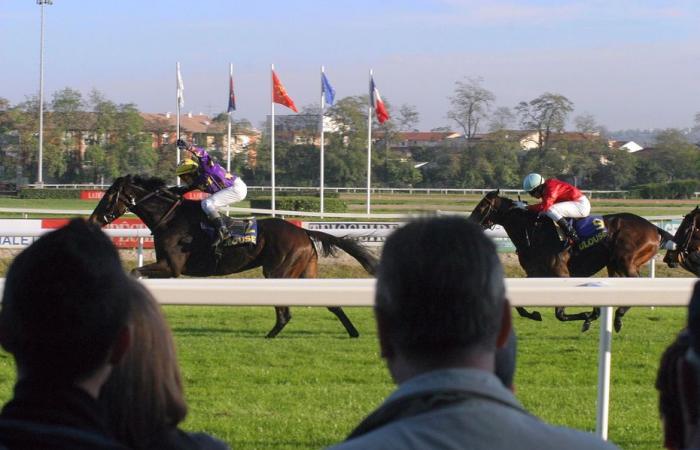 “Una caída espectacular en plena recta”, el jockey español Ioritz Mendizábal gravemente herido durante una carrera de caballos