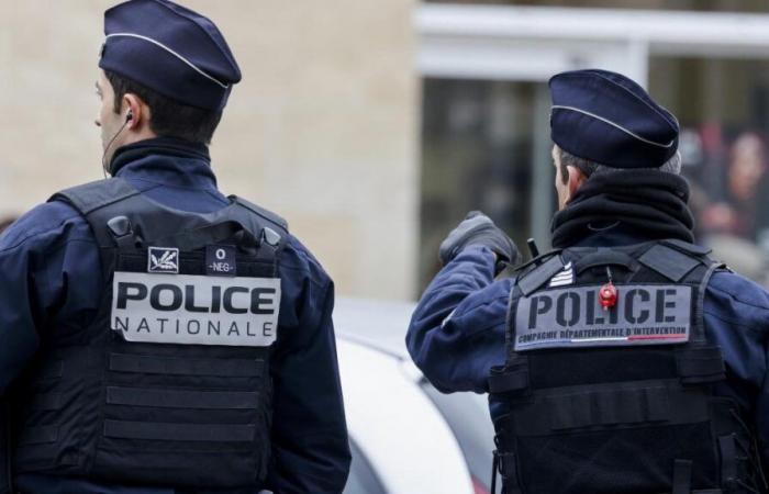 Francia: una joven de 17 años acusada de asesinato