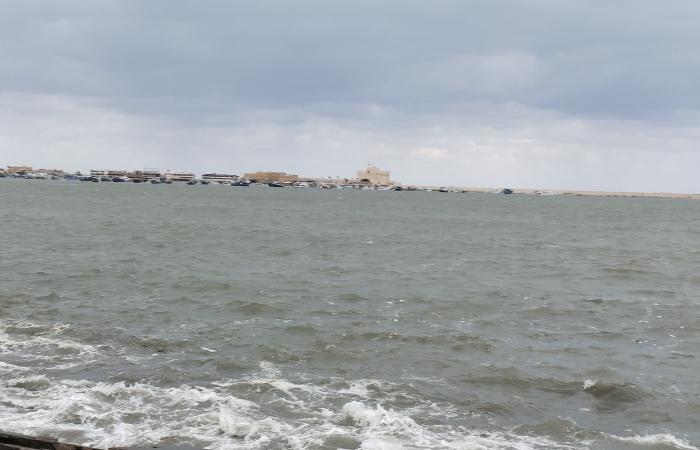 El clima de Alejandría es inestable… muy frío con movimiento activo del viento… video y fotos