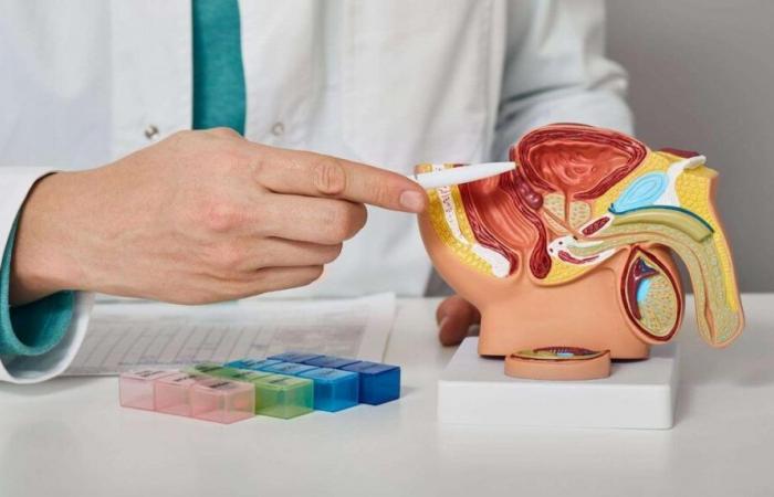 Cáncer de próstata: ¿pronto un simple análisis de orina para diagnosticarlo?