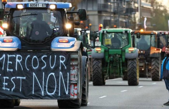 Oposición de Francia, apoyo de Alemania, temores de los agricultores… entiendan todo sobre el tratado del Mercosur