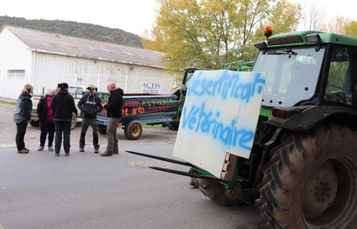 “La llegada de carne de América del Sur tendrá inevitablemente un impacto en los precios y en los precios de venta”: los ganaderos del Aude se movilizan contra el acuerdo UE/Mercosur