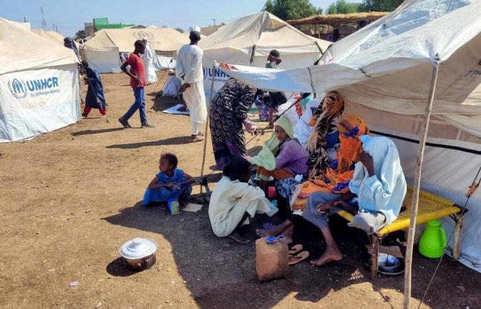 Conflicto: La ONU deplora una “epidemia de violencia sexual” en Sudán