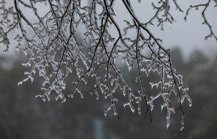 Se esperan lluvias heladas el martes en algunas regiones de Quebec