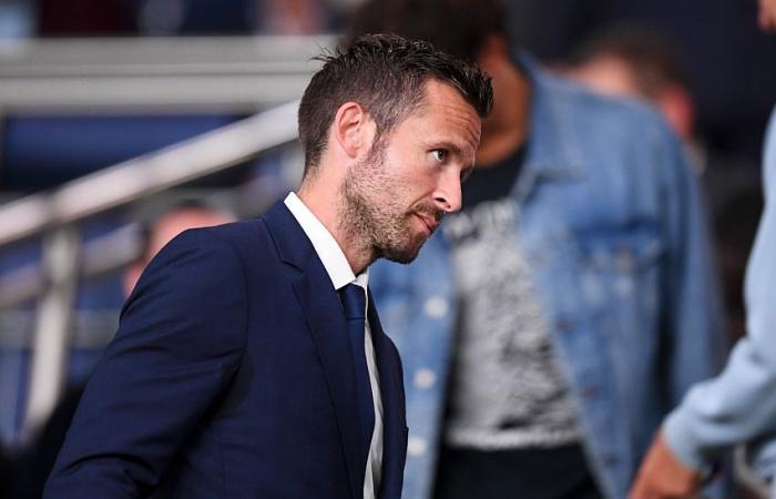 Yohan Cabaye: “Momentos que no tienen precio”