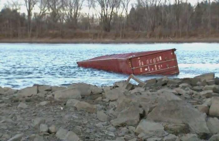 EN FOTOS | Un contenedor de ositos de peluche aparece a orillas del río San Lorenzo en Boucherville