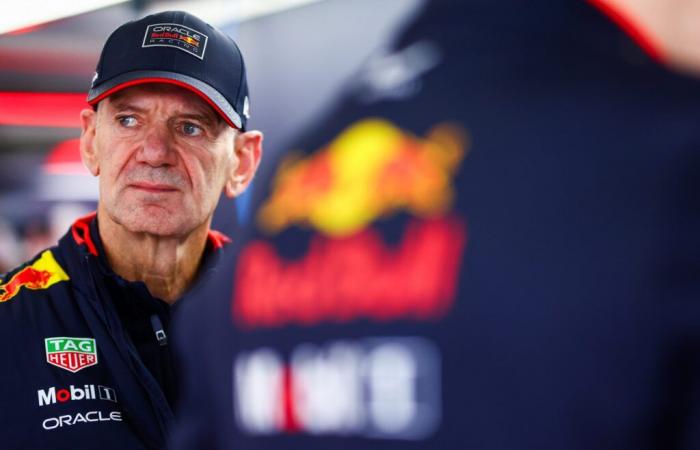 “Lo que perdieron con la salida de Adrian Newey”: el análisis de Button