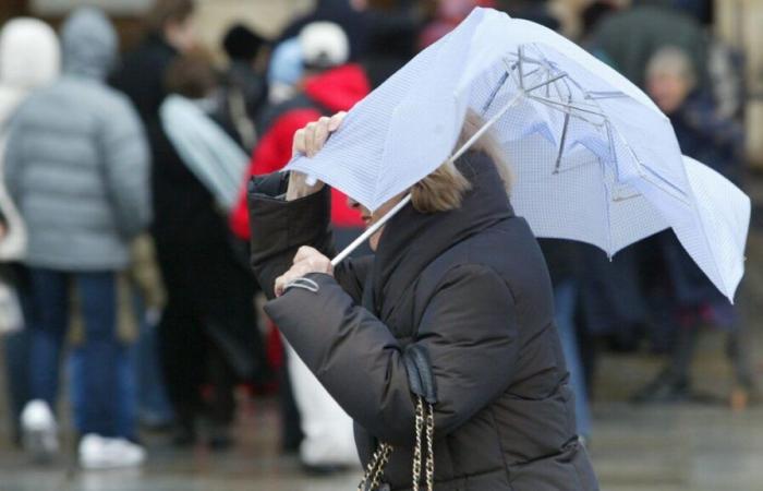 Fuertes vientos: nueve departamentos del centro-este en alerta naranja y el tráfico de la SNCF interrumpido