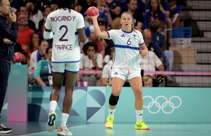 Balonmano: cinco jugadores de Metz seleccionados para jugar la Eurocopa con la selección francesa