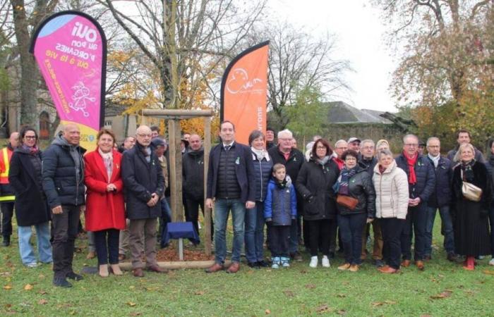 Un árbol “símbolo de vida” plantado en Évron para rendir homenaje a los donantes de órganos