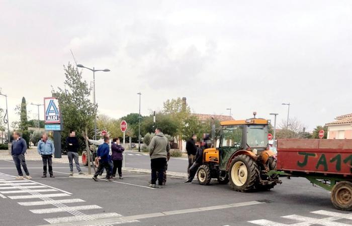 Agricultores enfadados: en Aude, los viticultores atacan un supermercado que promocionaba “demasiado” los vinos españoles