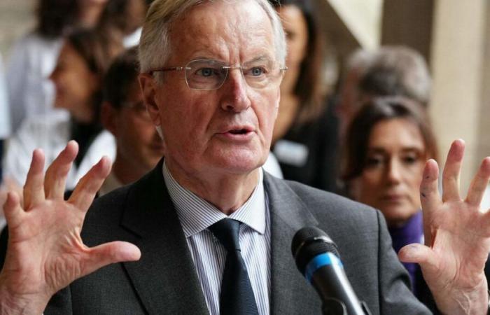 Centros de mujeres, denuncias hospitalarias, kits de farmacia… Los anuncios de Barnier sobre la violencia sexual