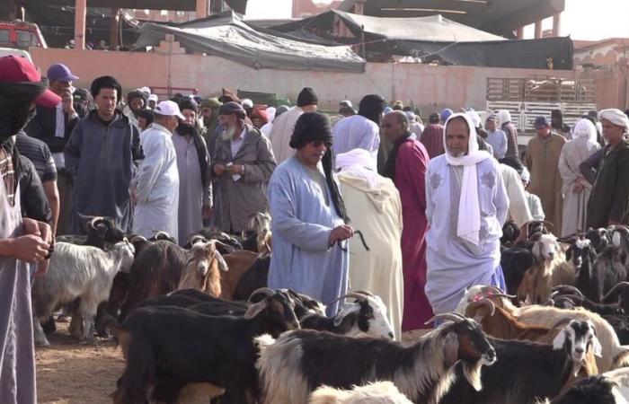 Colores, sonidos y aromas: Zoco Amhirich, un destino imperdible para descubrir en Guelmim