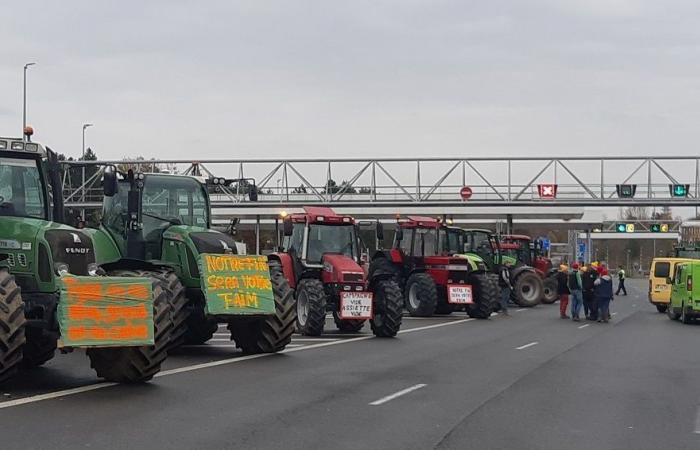 Vierzon: los agricultores se invitan al peaje de la autopista A20