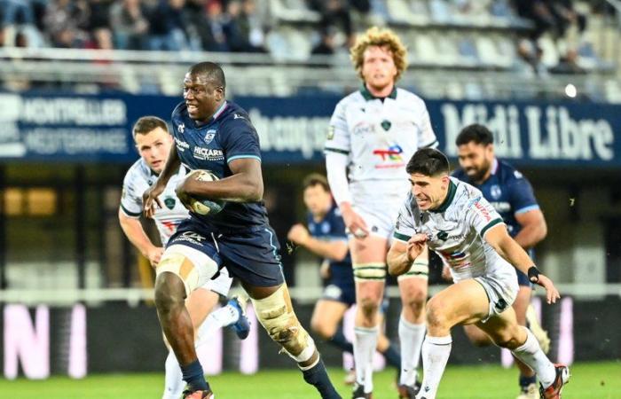 Top 14 – La historia interna – “¡Los demás decían que iba a las 2 por hora!”, sonríe Yacouba Camara (Montpellier)