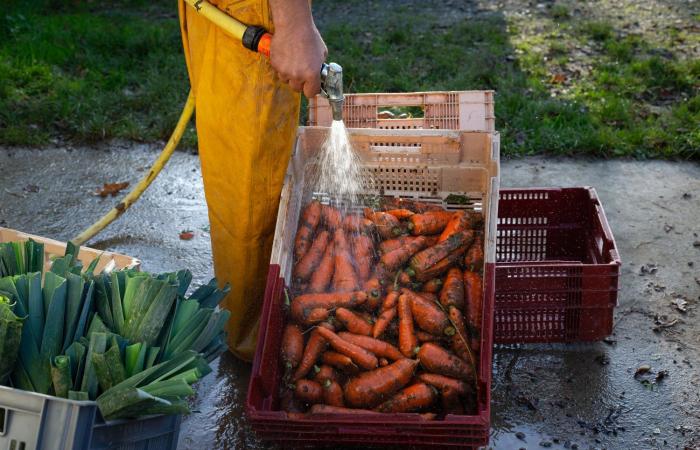 Las megacuencas de Vendée, un “modelo” lleno de goteras