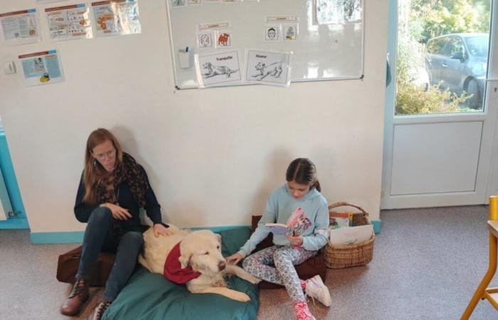 Estos alumnos de Mayenne aprenden a leer en presencia de un perro