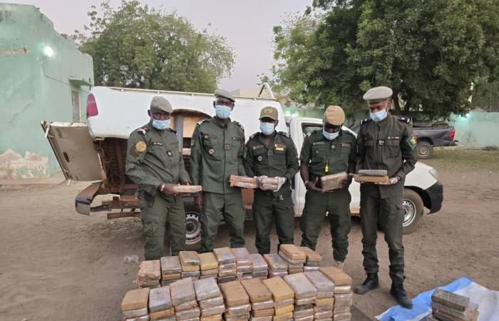 Senegal: incautación de 235 kg de cocaína en Koungheul | APAnoticias