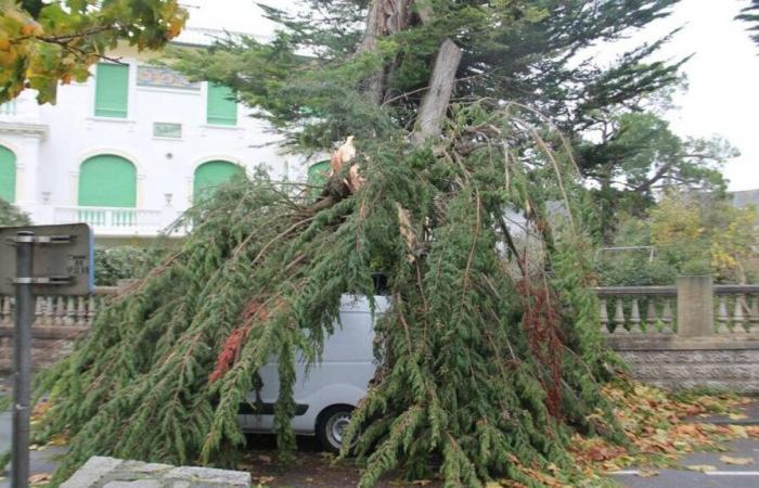 Unas sesenta viviendas privadas de electricidad en Côtes-d’Armor.