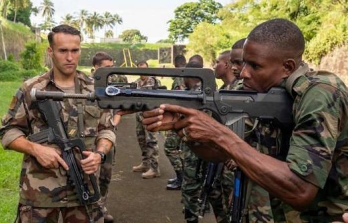 ¿Francia proporcionará FAMAS a las fuerzas armadas haitianas?