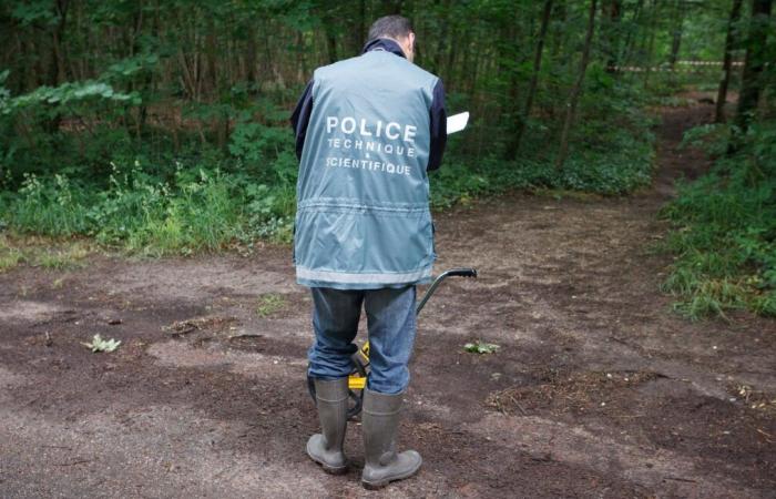 Vecino acusado tras encontrar el cuerpo de una mujer en una bolsa