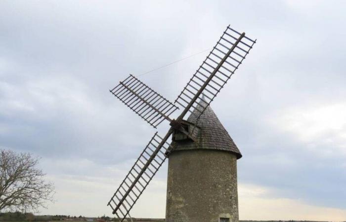 Tormenta Caetano. Entre Deux-Sèvres y Vienne, el molino de Tol ha perdido un ala