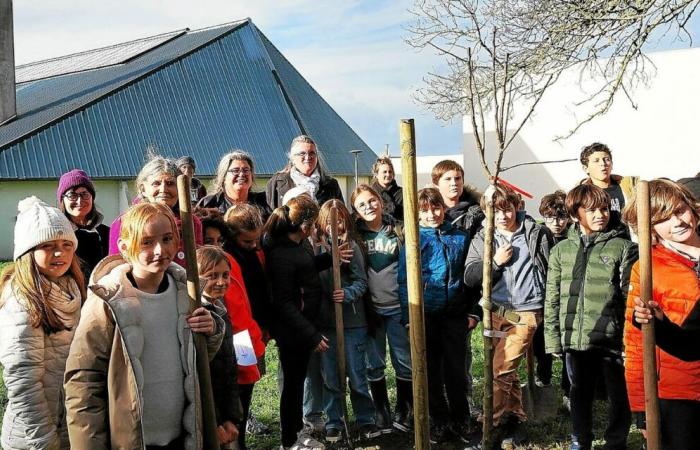 Plantación frutal en Trébeurden: echa raíces el primero de los proyectos ciudadanos