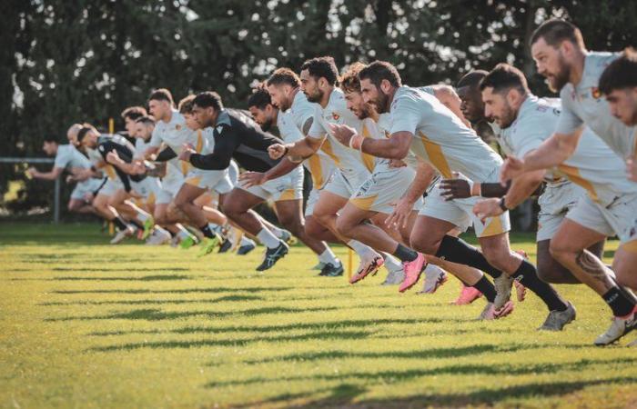 Liga de Rugby: Los Dragones Catalanes continúan su gira por el departamento