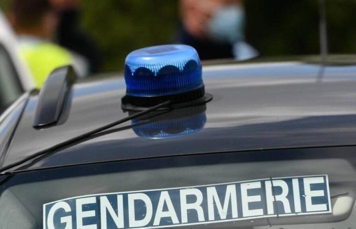 Sena y Marne. Un hombre sospechoso de violación y agresión sexual a 11 menores, incluida su hija