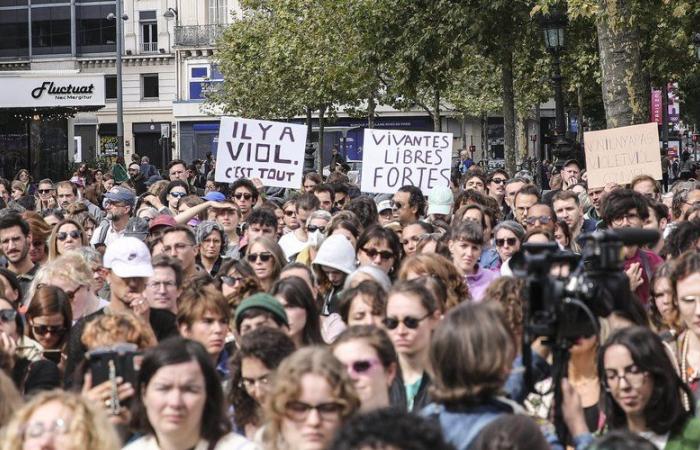 Juicio por violación en Mazan: se exigen penas de 10 a 13 años de prisión contra 19 de los 50 coacusados ​​ante el tribunal penal de Vaucluse