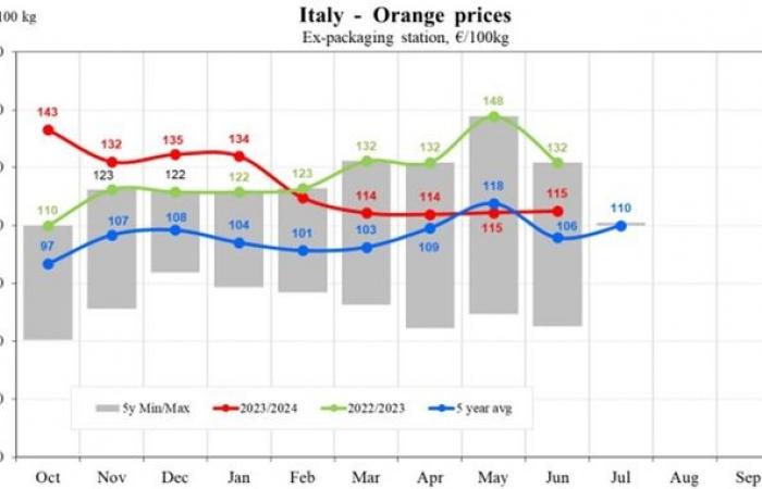 Los precios de las naranjas en la UE caerán un 17,83% en 2024